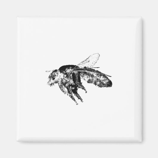 Aimant Abeille d'insectes noir (Devant)