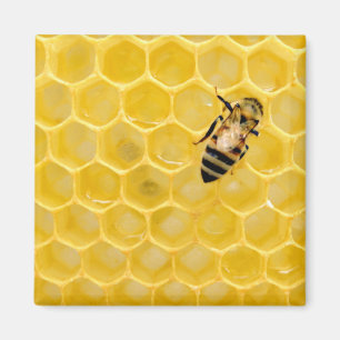 Aimant abeille et nid d'abeille