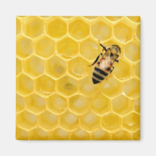 Aimant abeille et nid d'abeille (Devant)