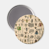 Aimant Abeille Insecte Bug Wasp Nature Peinture des abeil (Recto/Verso)