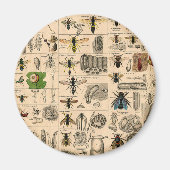 Aimant Abeille Insecte Bug Wasp Nature Peinture des abeil (Devant)