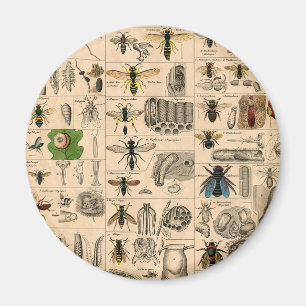 Aimant Abeille Insecte Bug Wasp Nature Peinture des abeil