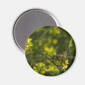 Aimant Abeille occupée (Recto/Verso)