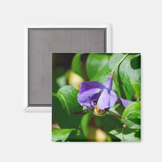 Aimant Abeille occupée (Recto/Verso)