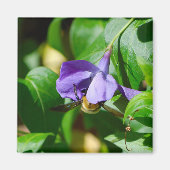 Aimant Abeille occupée (Devant)