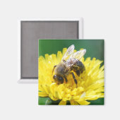 Aimant abeille printanière (Recto/Verso)