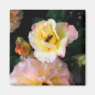 Aimant Abeille sur roses rose jaune Fleurs
