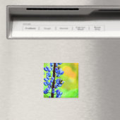 Aimant Abeille sur une photo de Lupin (In Situ (Lave-vaisselle))