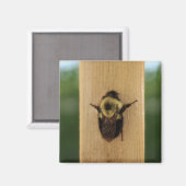 Aimant Abeille-zilla (Recto/Verso)