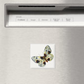 Aimant Abraxas sylvata - La papillon de papillon (In Situ (Lave-vaisselle))