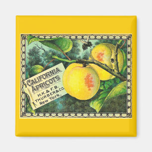 Aimant Abricots de la Californie - étiquette vintage de