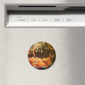 Aimant Abstrait347 (In Situ (Lave-vaisselle))