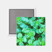 Aimant Abstrait de fleurs vertes (Recto/Verso)