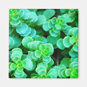 Aimant Abstrait de fleurs vertes