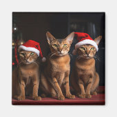 Aimant Abyssinian près de la cheminée Noël (Devant)