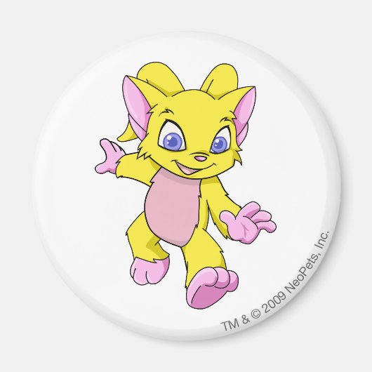 Aimant Acara jaune (Devant)