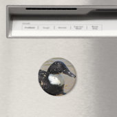 Aimant Accélérer le canard (In Situ (Lave-vaisselle))