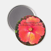 Aimant Acceptation Fibro (Recto/Verso)