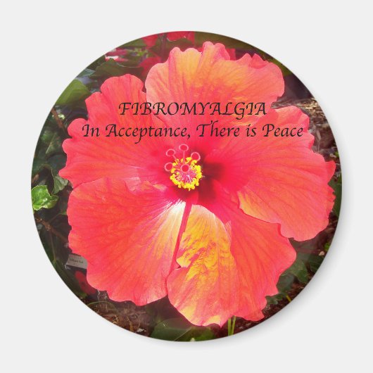 Aimant Acceptation Fibro (Devant)