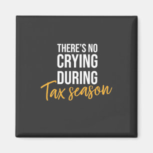Aimant Accountant In Tax Season
