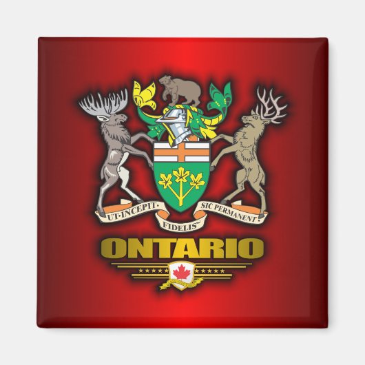 Aimant ACO de l'Ontario (Devant)