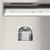 Aimant Acte additionnel du 22 avril 1815 (In Situ (Lave-vaisselle))