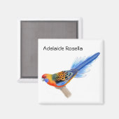 Aimant Adélaïde Rosella Parrot (Recto/Verso)