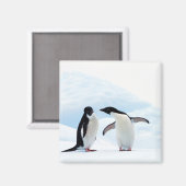 Aimant Adelie Penguins (Recto/Verso)
