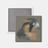 Aimant ADiplomado (Recto/Verso)