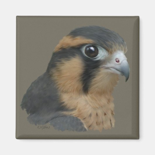 Aimant ADiplomado (Devant)