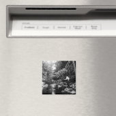 Aimant Adirondack Fly Fishing (In Situ (Lave-vaisselle))