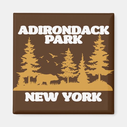 Aimant Adirondack Park (Devant)