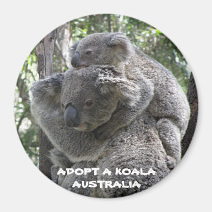 Aimant Adopter un koala Australie ZIZZAGO