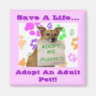Aimant Adoptez, Sauvez Une Vie... Adoptez Un Animal De Co