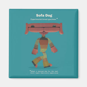 AIMANT ADOPTEZ UN CHIEN SAUVÉ !