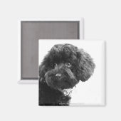 Aimant Adorable Ami (Recto/Verso)