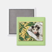 Aimant Adorable bébé doux Opossum (Recto/Verso)