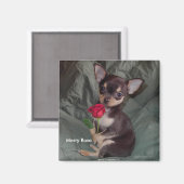 Aimant Adorable Bébé mignon Chihuahua Joyeux Rose (Recto/Verso)