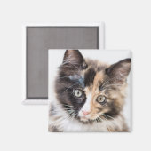 Aimant Adorable Calico Kitten (Recto/Verso)