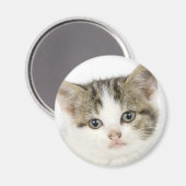Aimant Adorable, chat mignon / chaton (Recto/Verso)