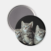 Aimant Adorable chatons (Recto/Verso)