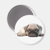 Aimant adorable chiot en carlin (Recto/Verso)