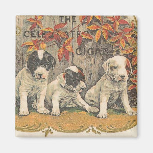 Aimant Adorable Chiots Vintage pub de cigar