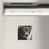 Aimant Adorable Chorkie Puppy (In Situ (Lave-vaisselle))