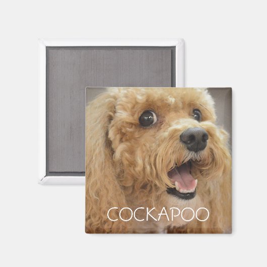 Aimant Adorable Cockapoo Chien souriant (Recto/Verso)