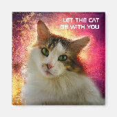 Aimant Adorable Cute Calico Cat (Devant)