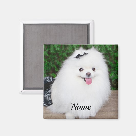 Aimant Adorable Fluffy White Chien Chien Chien (Recto/Verso)