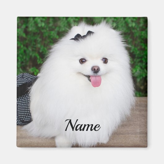 Aimant Adorable Fluffy White Chien Chien Chien (Devant)