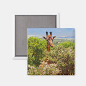 Aimant Adorable Giraffe Poking His Head Above The Trees (Recto/Verso)