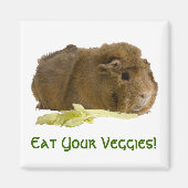 Aimant Adorable Guinée Cochon Mange Céleri Photographie (Devant)